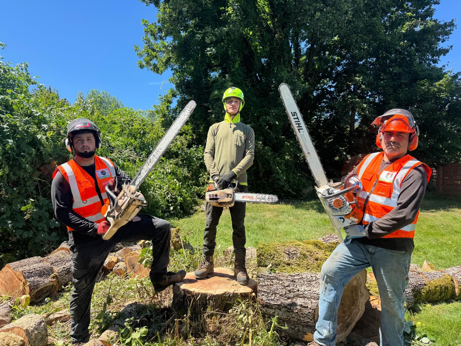 picture of tree arborist in seattle washington with cut down trees and trimmed trees